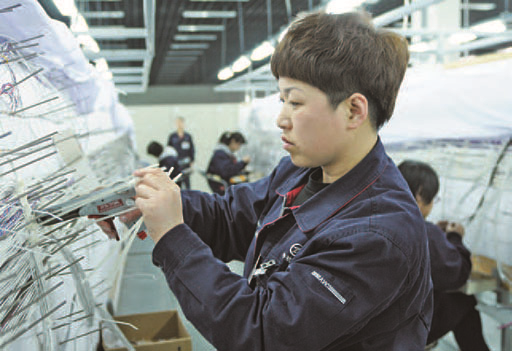 双手织就航空梦——记全国三八红旗手、乐投（中国）沈飞线束厂技师郑秋菊